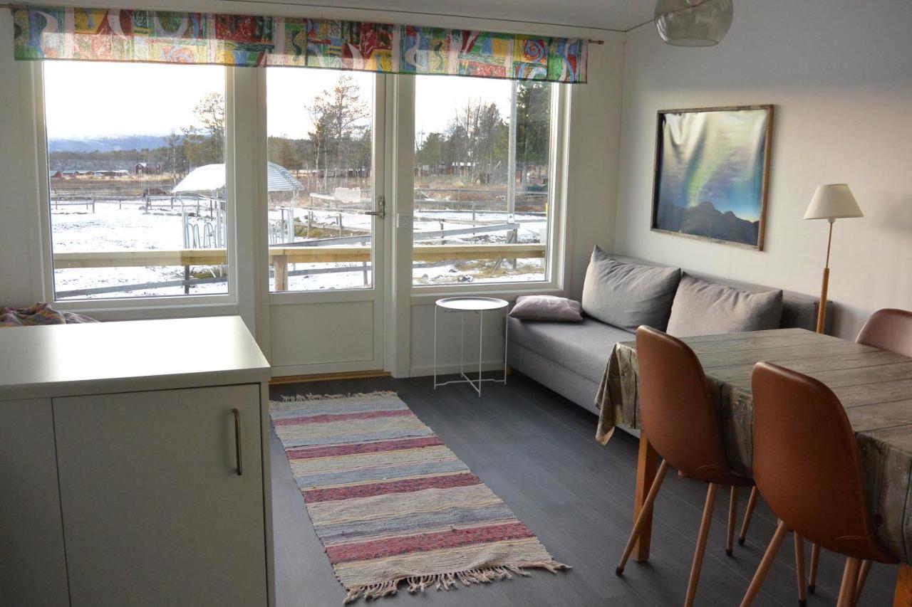 Ofelas Islandshaestar & Guideservice Kiruna Exterior foto