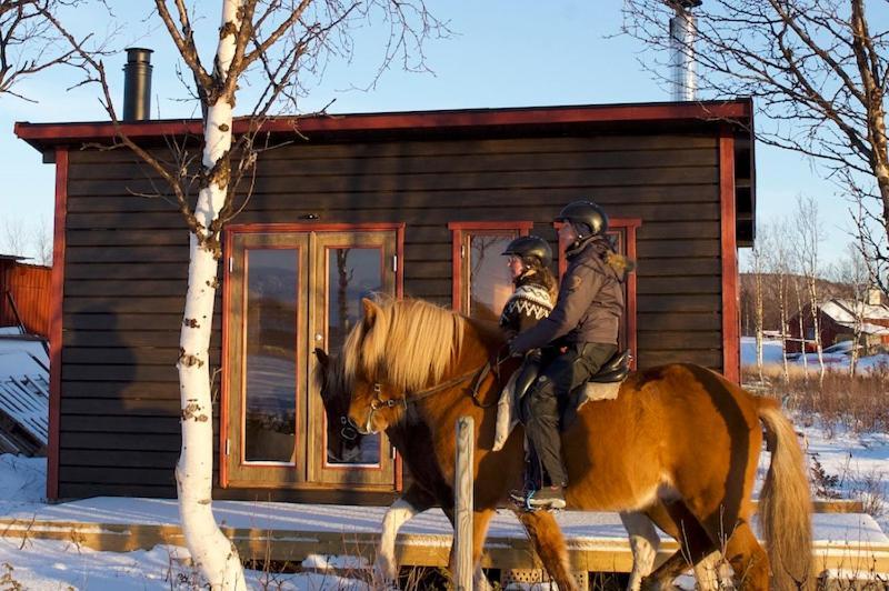 Ofelas Islandshaestar & Guideservice Kiruna Exterior foto